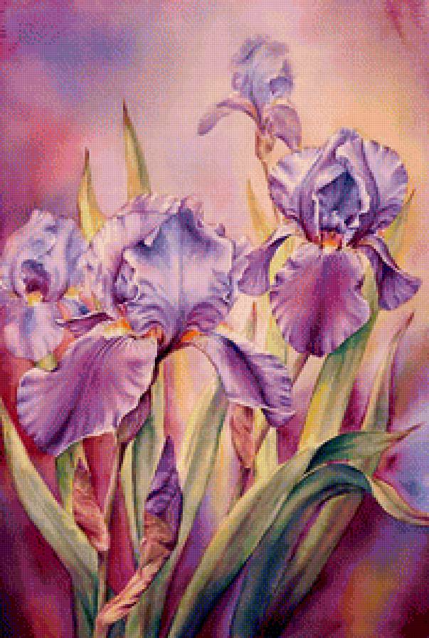 ирисы - цветы - предпросмотр