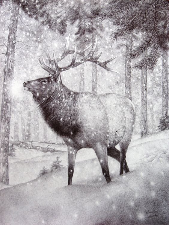 №1161988 - оригинал