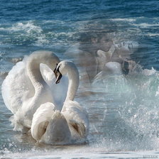 Схема вышивки «В любви»