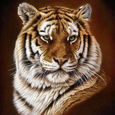 Схема вышивки «тигр»