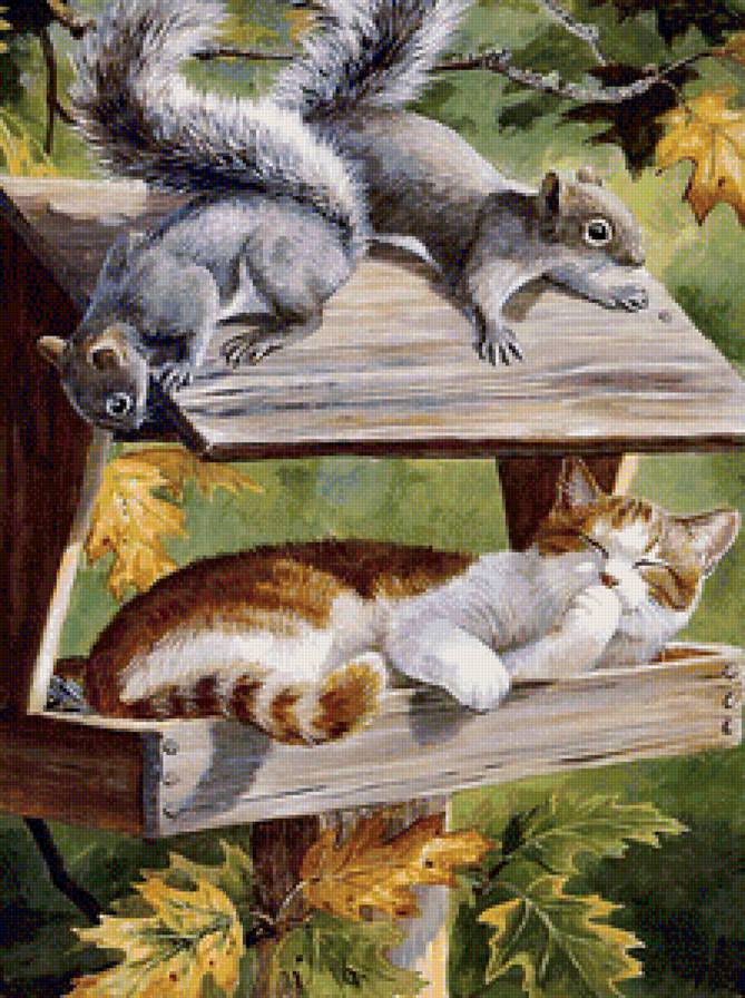 любопытство - животные, природа, белки, кошки - предпросмотр