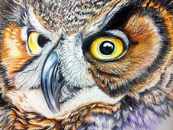 ночной страж - птицы, хищники, сова, филин - оригинал