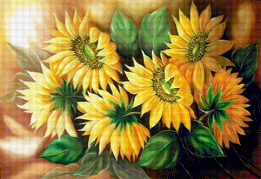 Подсолнухи - цветок, цветы, подсолнух, букет - предпросмотр