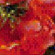 Предпросмотр схемы вышивки «Маки» (№1162880)