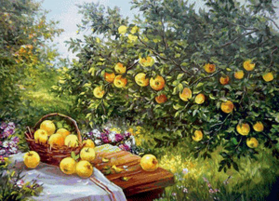 Яблоки в саду - яблоки, сад, стол - предпросмотр