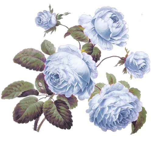 №1163058 - оригинал