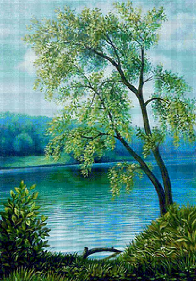 одинокое дерево - природа, речка, красота, пейзаж, деревья, лето - предпросмотр