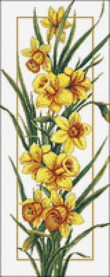 Звёздный выход - цветы - предпросмотр