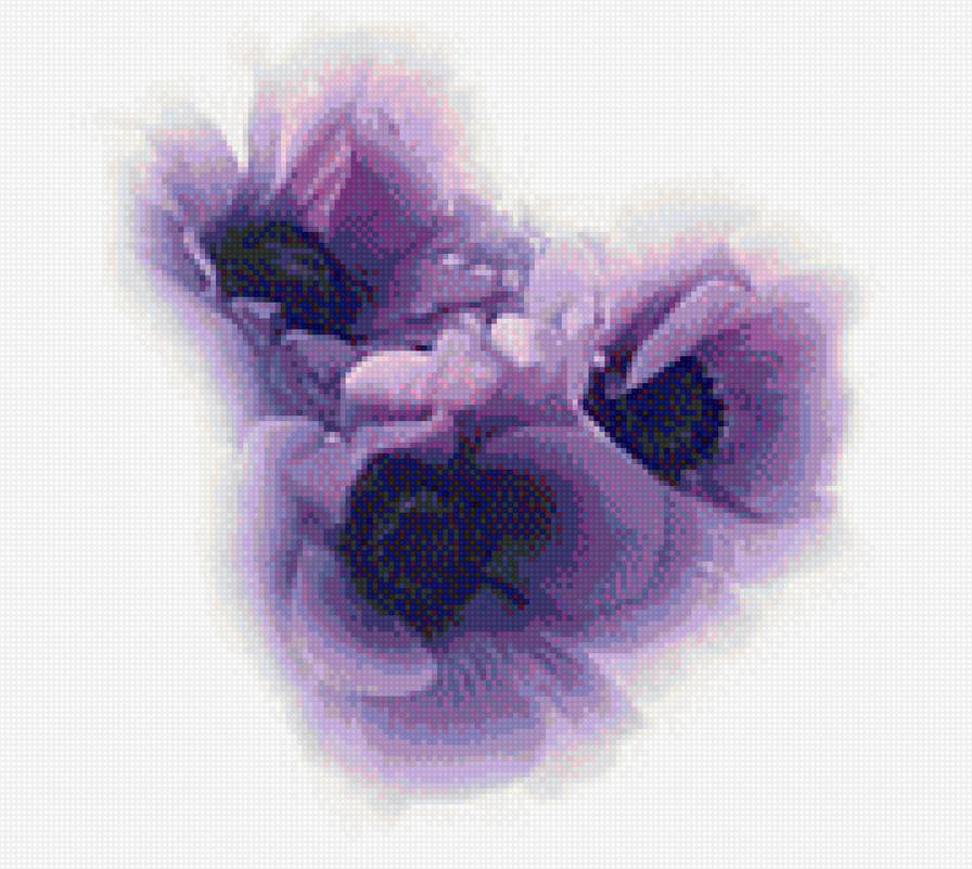 три сиреневых цветка - сиреневый, цветок - предпросмотр