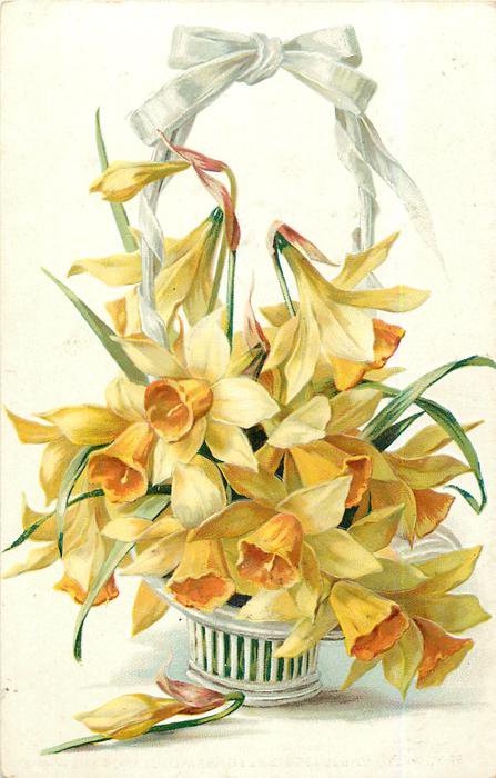 нарциссы - букеты, цветы, нарциссы - оригинал