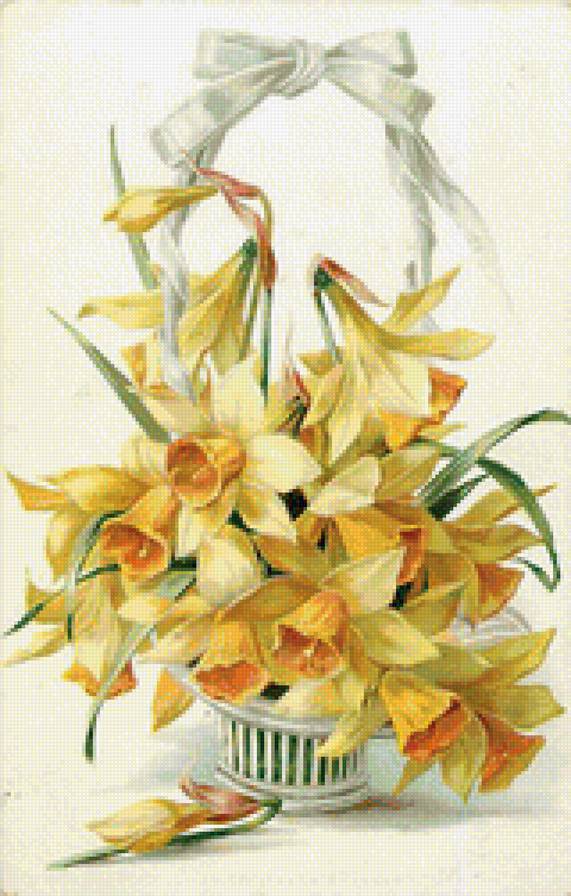 нарциссы - нарциссы, букеты, цветы - предпросмотр