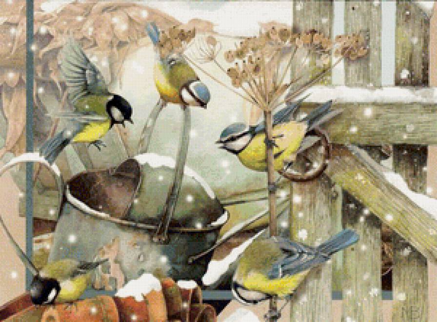 синички - птица, птицы - предпросмотр