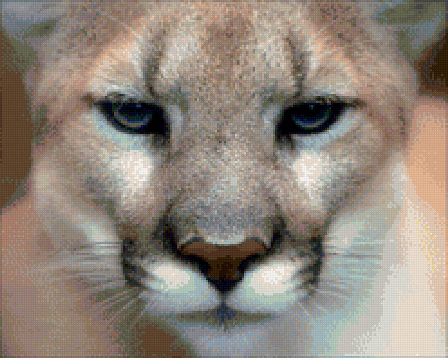 №1163760 - предпросмотр