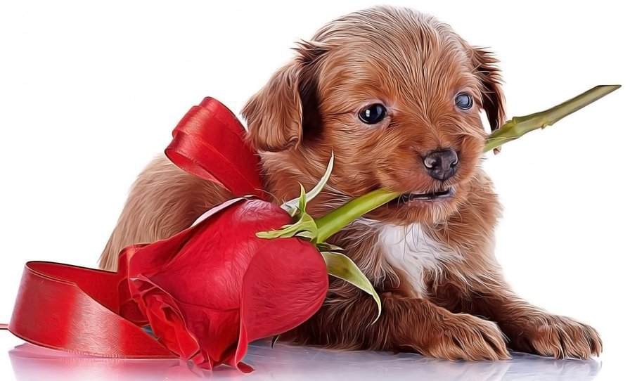 №1163762 - оригинал