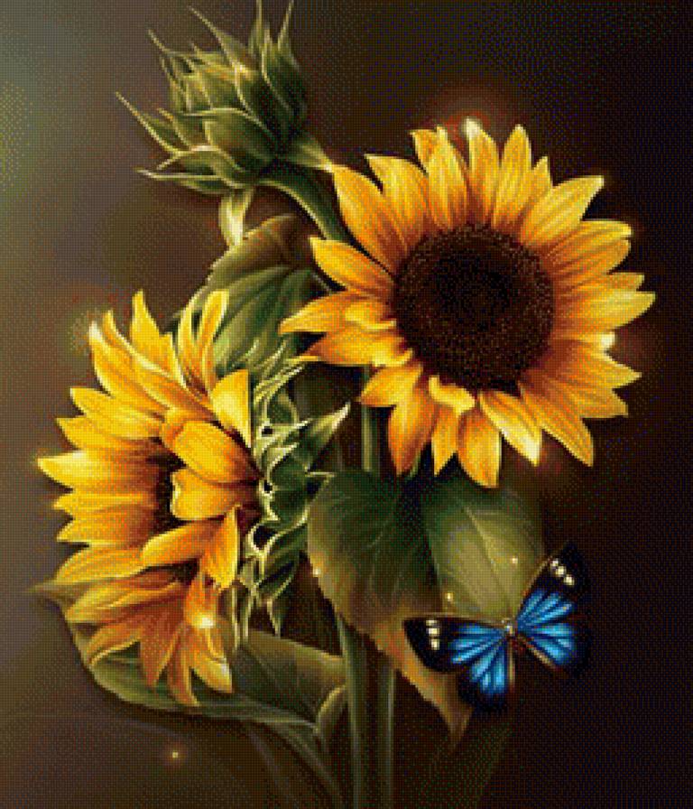 Подсолнухи - подсолнухи, цветы - предпросмотр