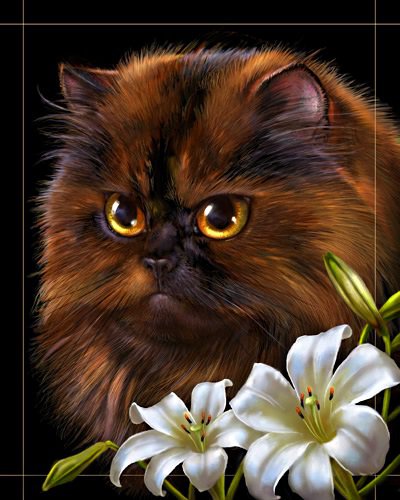 милее кошки - зверя нет - лилия, кошка, кот, белые цветы, лилии, домашние животные - оригинал