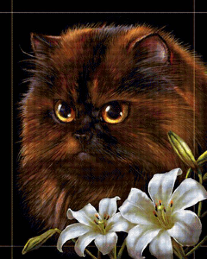 милее кошки - зверя нет - белые цветы, лилия, лилии, кошка, кот, домашние животные - предпросмотр