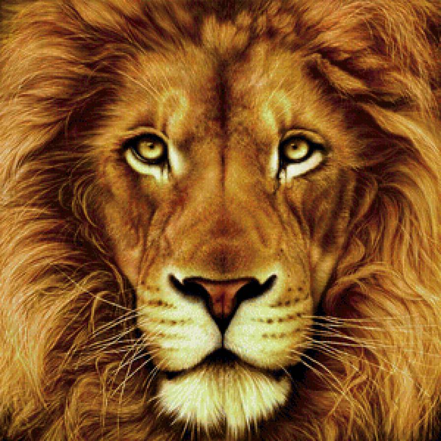 король-лев - лев, хищники - предпросмотр