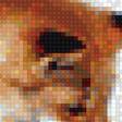 Предпросмотр схемы вышивки «лисичка» (№1164364)