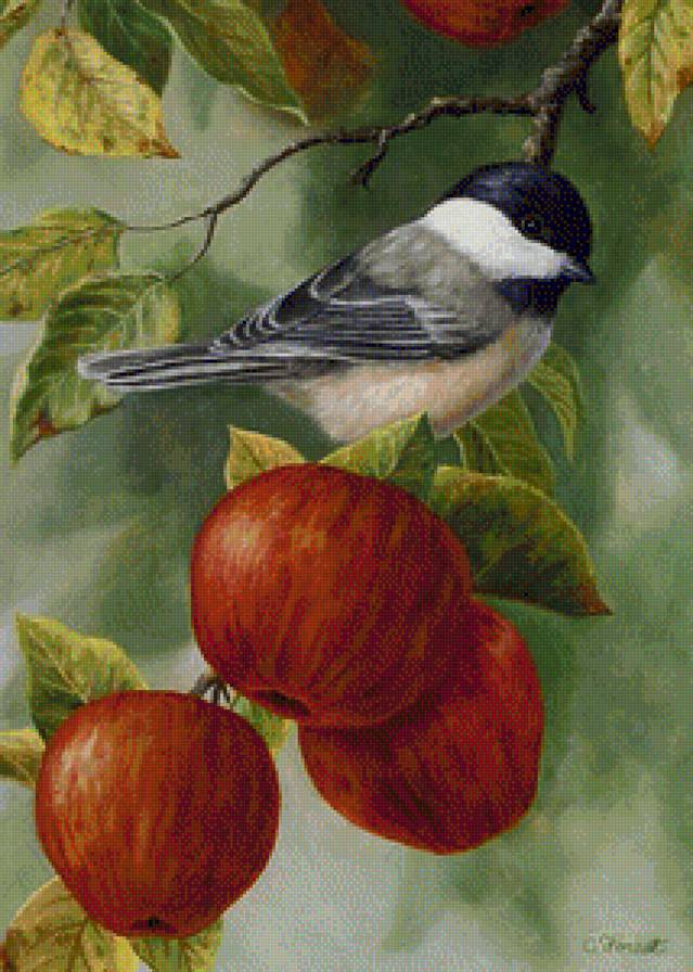 №1164867 - предпросмотр