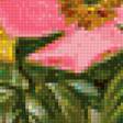 Предпросмотр схемы вышивки «летний букет» (№1164895)