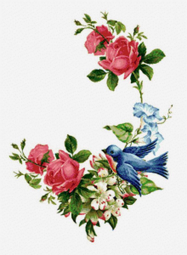 цветущая ветка - предпросмотр