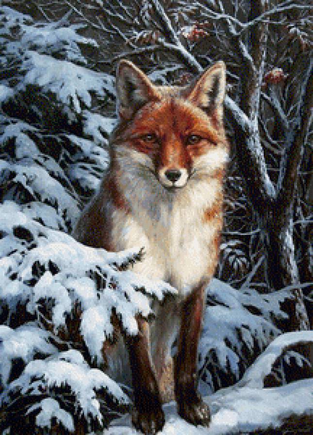 лисичка зимой - звери, природа, лес, зима - предпросмотр