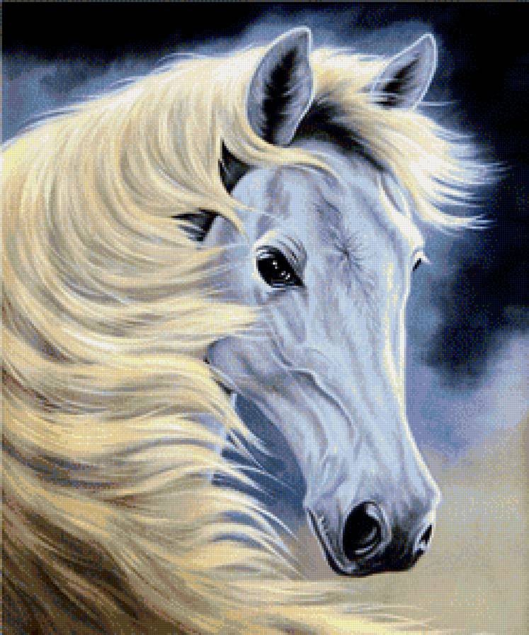 лунный конь - лошади, животные, природа - предпросмотр