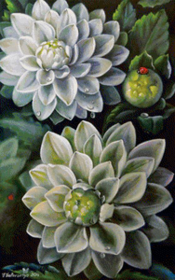 Цветы - цветы - предпросмотр