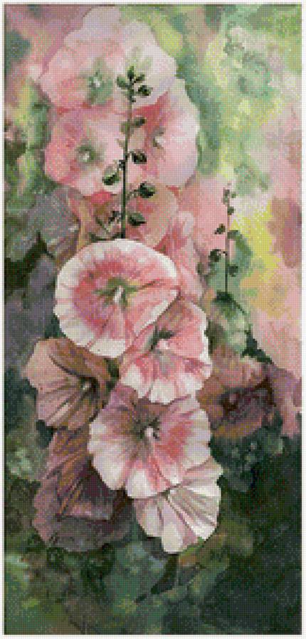 Мальвы - мальва, цветы - предпросмотр