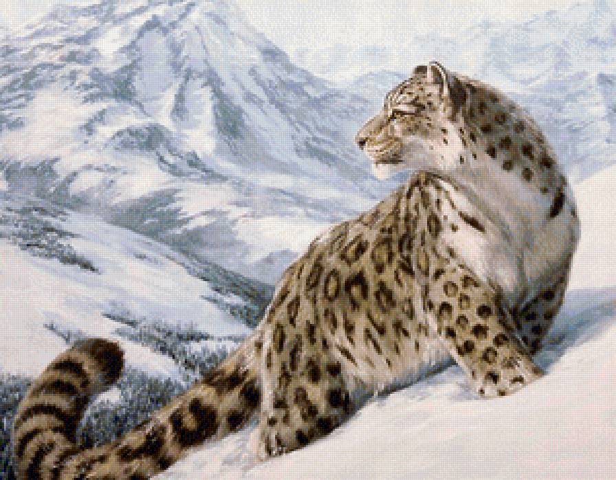 Ирбис - пейзаж, природа, звери, горы - предпросмотр