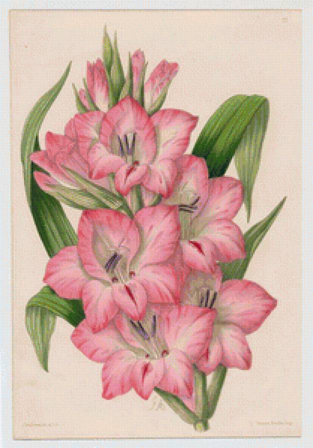 №1166750 - предпросмотр