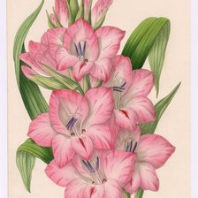 Схема вышивки «№1166750»