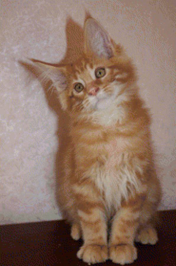 котенок - животное, кошка, котенок - предпросмотр