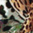 Предпросмотр схемы вышивки «Леопард» (№1167009)