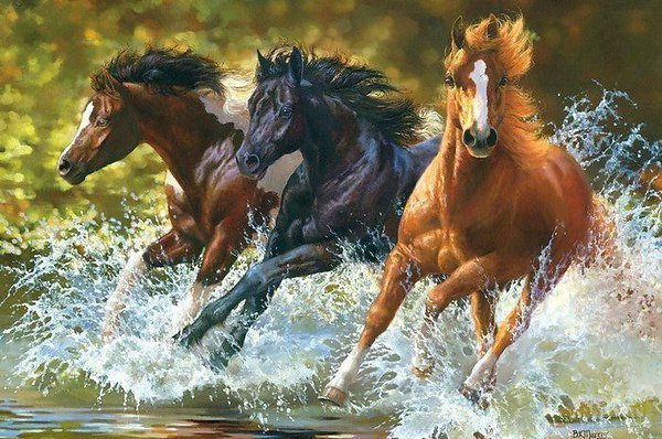 кони - пони, кони, лошадки - оригинал