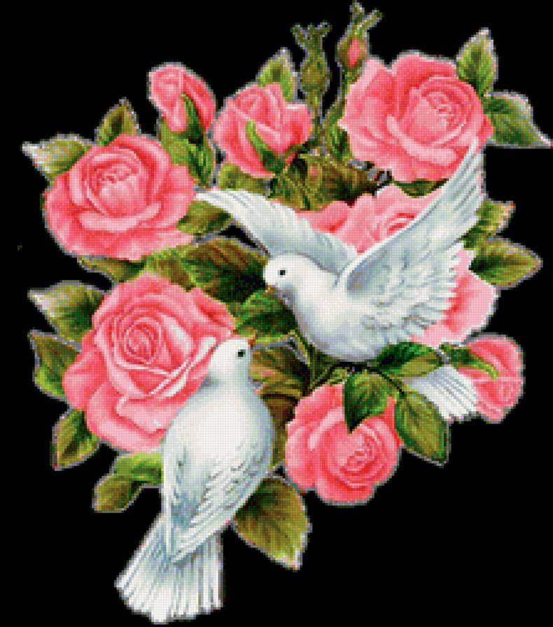 голубки - предпросмотр