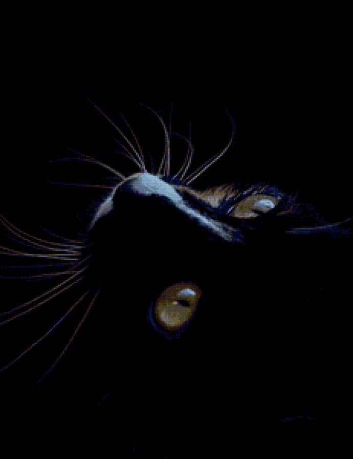 №1167130 - предпросмотр