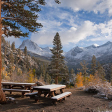 Схема вышивки «Лес»