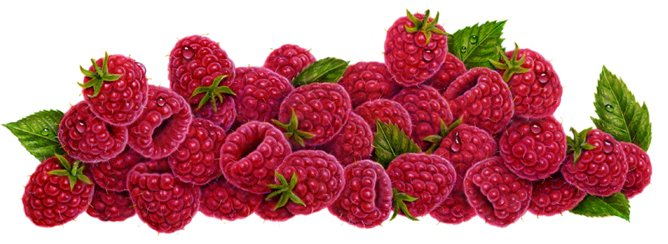 Малина - ягода, ягоды, на кухню - оригинал