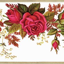 Оригинал схемы вышивки «винтажные розы» (№1167670)