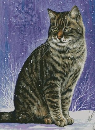 Зимний кот - коты, котенок, зима, снег, кот, животные - оригинал