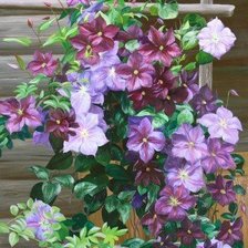 Схема вышивки «Клематис»