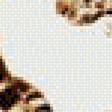 Предпросмотр схемы вышивки «tygrysy» (№1167769)
