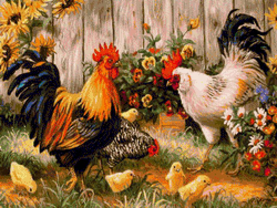 куриное семейство - куры - предпросмотр