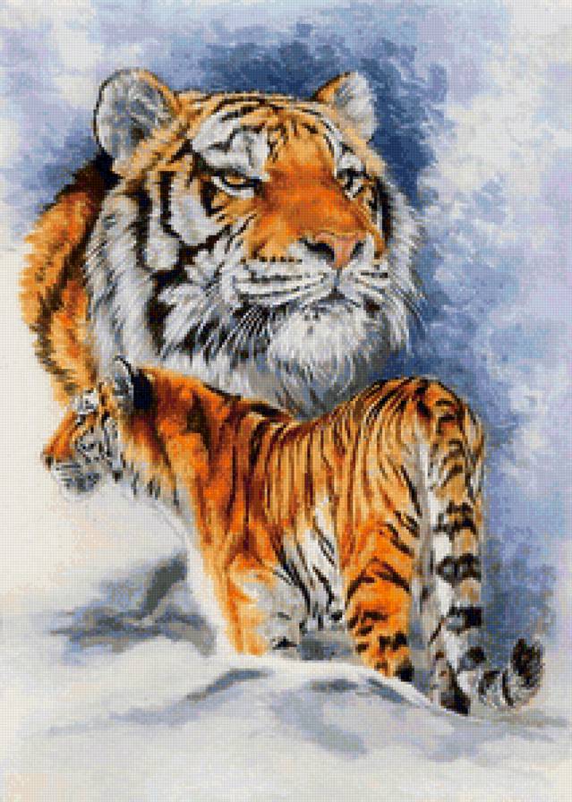 Тигр - животные, хищник, дикие кошки - предпросмотр