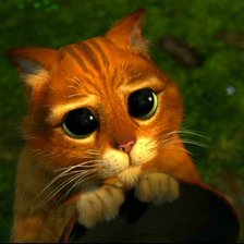 Схема вышивки «Кот из Шрека»