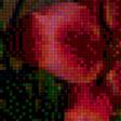 Предпросмотр схемы вышивки «Красные лилии» (№1168115)