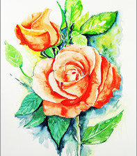Оригинал схемы вышивки «розы» (№1168355)