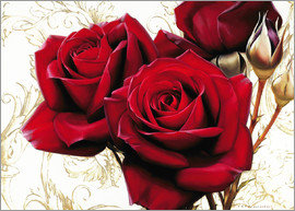 бархатная роза - цветы, букет, розы - оригинал